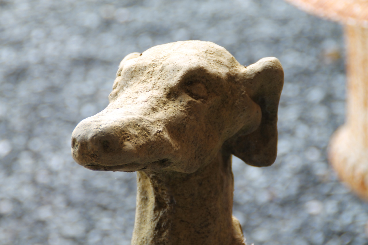 Paire de lévriers – Image 8